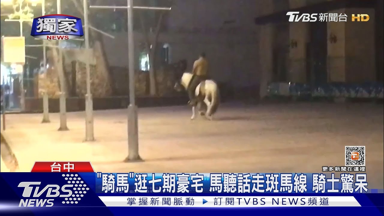 「騎馬」逛七期豪宅 馬聽話走斑馬線騎士驚呆