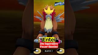 Entei die legendäre Feuerbestie in Pokémon!