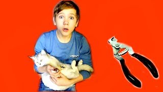 БЕДНАЯ моя КОШЕЧКА Марфа! Как же тебе из-за МЕНЯ было БОЛЬНО...