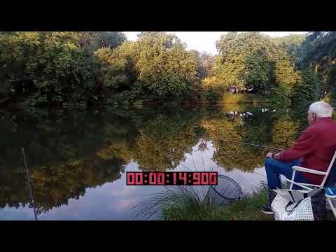 Le champion du goujon