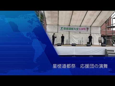 建築学科 星槎道都祭　応援団の演舞