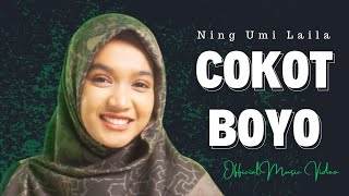 Download lagu COKOT BOYO - NING UMI LAILA mp3
