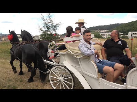 Trasuri de nunti cu Dorin Blenda, Nea Costel, D l Daniel, Pufi, Ema si Denis - 2022 Nou!!!