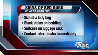 Woman says she was bitten by bed bugs at Phoenix movie theater