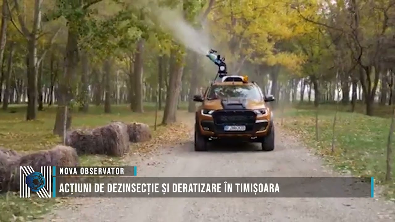 Acțiuni de dezinsecție și deratizare în Timișoara