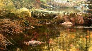 Himns to the silence. Van Morrison..wmv