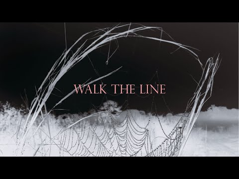 Walk The Line - Frank Iero