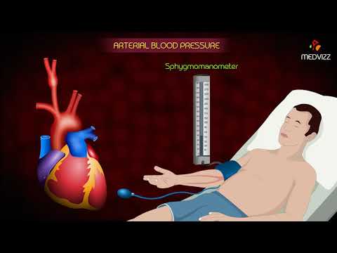 Arterial Blood Pressure Animation  - Cardiovascular physiology