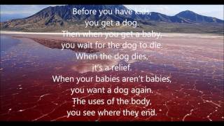 The Mountain Goats - Song for Dennis Brown [Live]