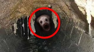 5 Sewer Monsters Caught on Tape & Spotted in Real Life