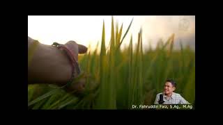 Download lagu Makna Filosofi Huruf 'Alif' sangat mendalam | Dr. Fahruddin Faiz | Ngaji Filsafat mp3