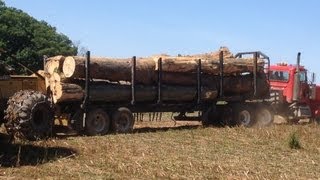 preview picture of video 'Log Truck!! hauling out of the woods. Turbo whisteling at 6:35 nice'