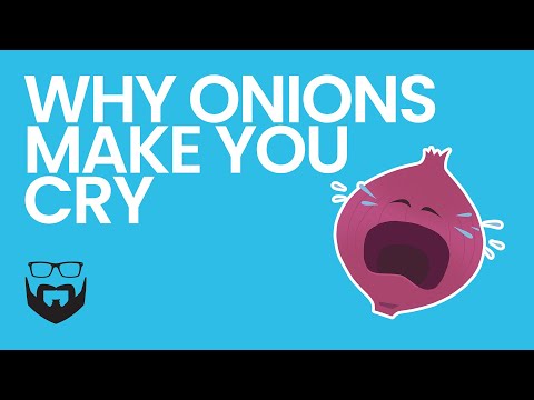 玉ねぎが泣く理由 (Why Onions Make You Cry)