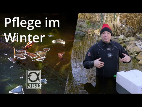JBL TV #70 Teichpflege im Winter - Das musst du beachten