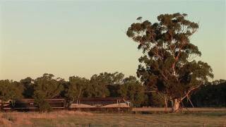 preview picture of video 'Australian Trains: POTA train approaches Epsom Thur 09/02/12'