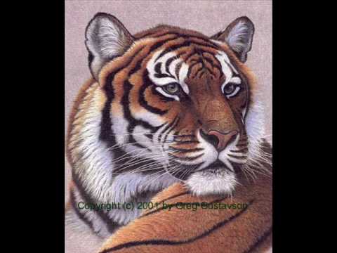 Three Six Mafia-Its A Fight confusion