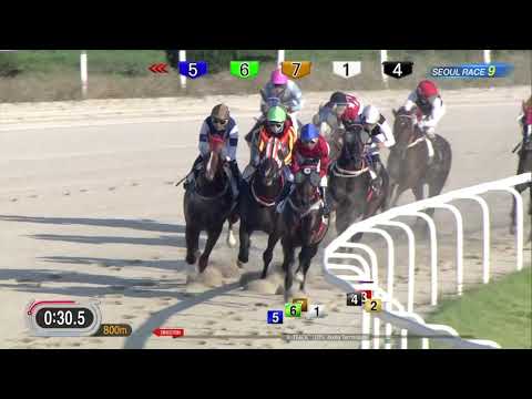 [ENG] 2019 Moonhwa Ilbo Cup(L)