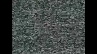 In my Dreams - Blutengel