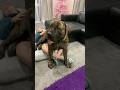 Big Boerboel 170lbs Lap Dog