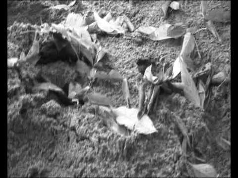 Outsider Team Trening 2009