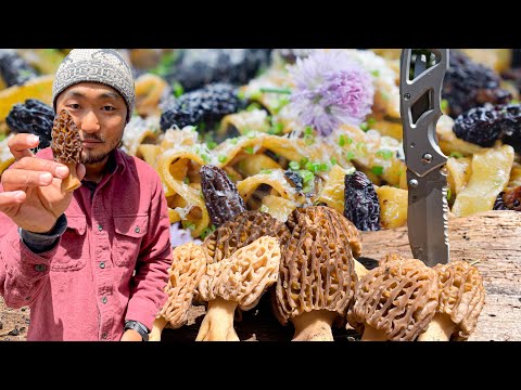 HUNT FOR ELUSIVE MOREL MUSHROOMS | Morel Pasta Recipe