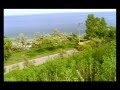 Звери. Девочки и мальчики. 
