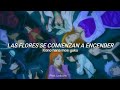BLEACH ED 7 HANABI Ikimonogakari Traducción Al Español