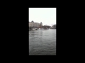 Bello Swims The Limmat River In Zurich Switzerland