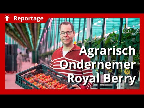 Royal Berry groeit duurzaam en investeert in zijn personeel