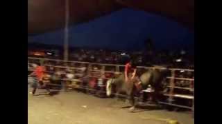 preview picture of video 'JARIPEO 2013 SAN PEDRO YUCUNAMA'