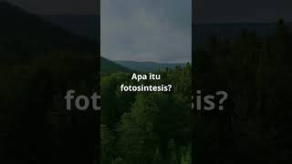 Apa itu fotosintesis #Shorts