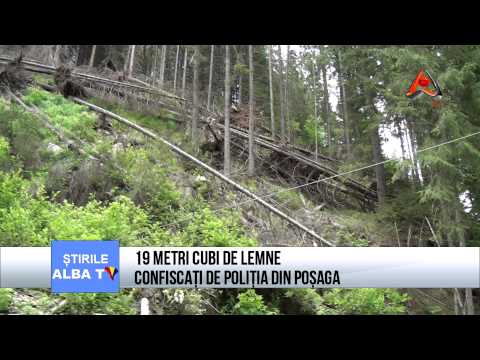 18 METRI CUBI DE LEMNE CONFISCATI DE POLITIA DIN POSAGA