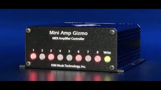 Video thumbnail for The RJM Mini Amp Gizmo by Flash Grover
