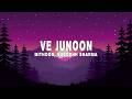 Mithoon - Ve Junoon (Lyrics) ft. Subodhh Sharma, Sayeed Quadri
