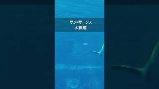 Download lagu サンサーンス:水族館 #Shorts mp3 Download lagu サンサーンス:水族館 #Shorts mp3