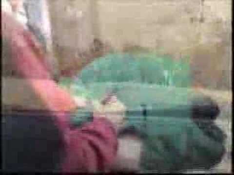 Legend of Vertigo