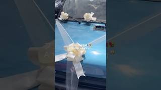 フランスの破天荒⁉️な結婚式🇫🇷　French crazy wedding?!