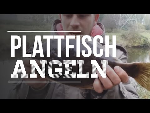 That's how it was in 2017: flatfish fishing on the canal to the North Sea