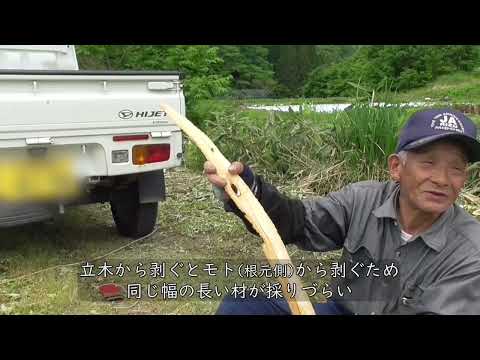 滴り落ちるシナノキの木、その背後に何があるのでしょうか?