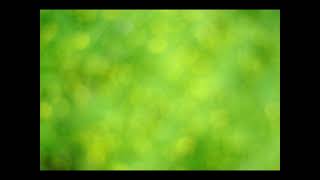 laid back playlist music song