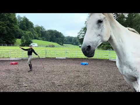 Level 3++ passed Liberty Audition Prinz