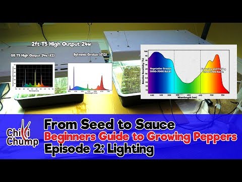 Episode 2:  Lighting (Beginners Guide to Growing Peppers) (2018)