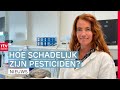 Onderzoek naar hartritmestoornissen en pesticiden & Kunstwerk gesneden uit een boom | RTV Drenthe