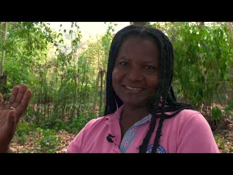 Video promocional Corregimiento de Paraíso - San Jacinto Bolívar