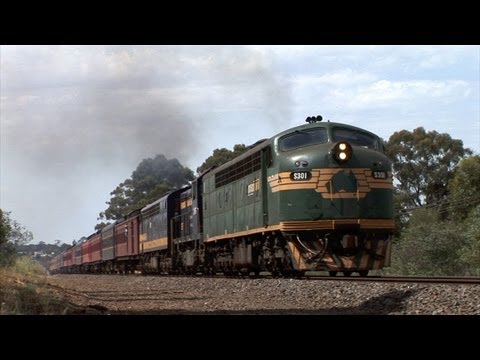 S301-T395-S313 Maryborough  Mon 2/11/09