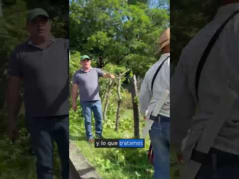 Alcalde Milton Serrano impulsa limpieza y poda preventiva en el acceso a San Miguel de Mercedes