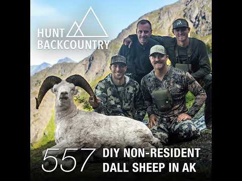 557 | DIY Non-Resident Dall Sheep Hunt In Alaska