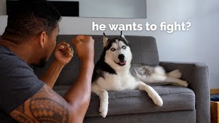 Thumbnail