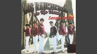 Me tragué mi llanto