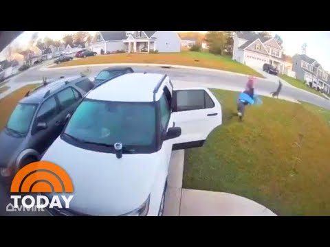 Watch Man Save Wife From Bobcat By Grabbing And Hurling It Across Lawn | TODAY